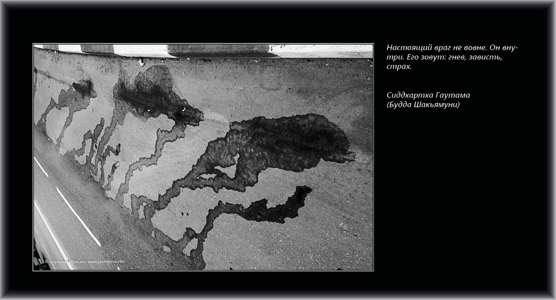 Совет дня — ориентир. Татьяна Корчагина. Фотограф, художник. Обучение фотографии