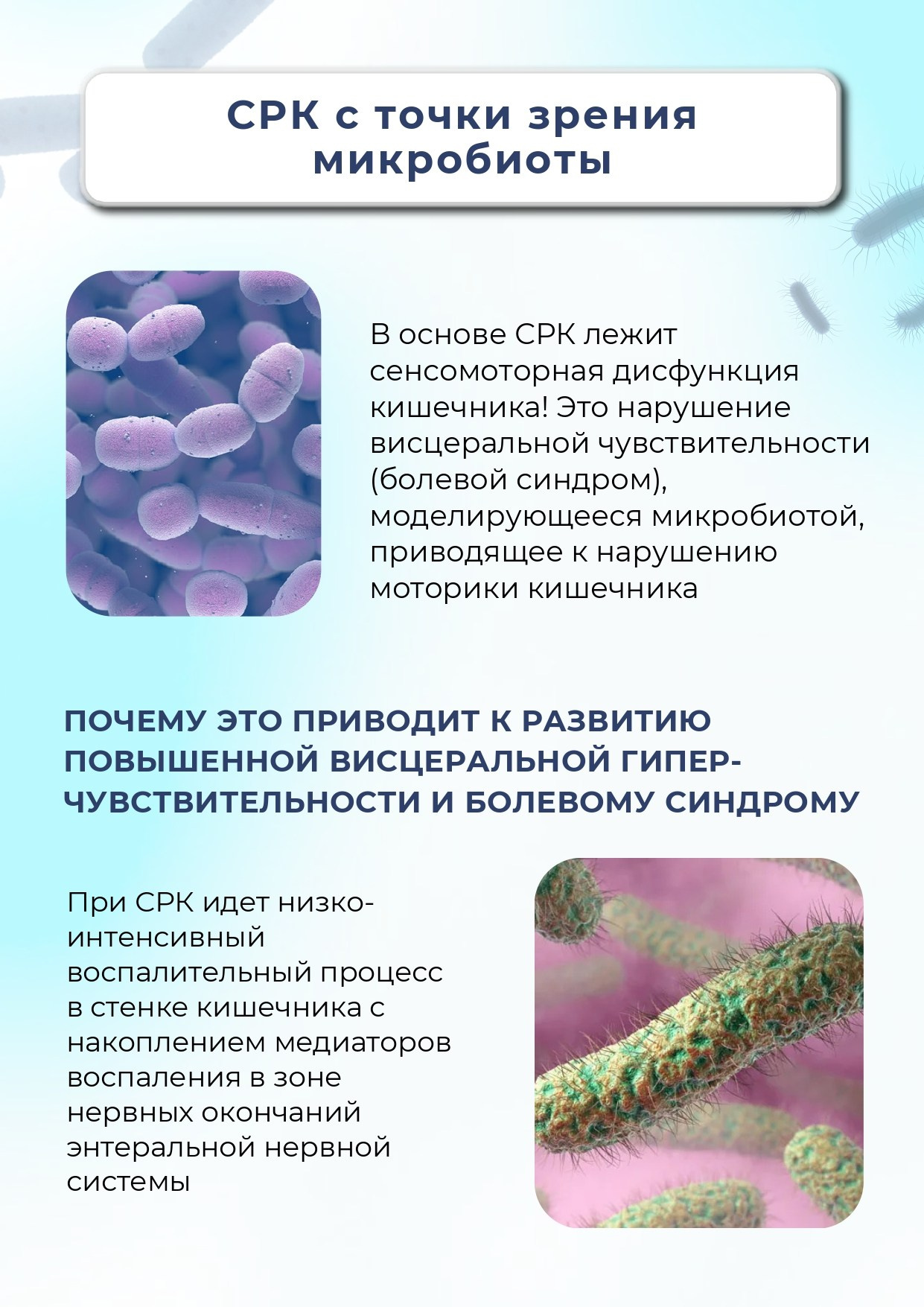 ВедаБиотика. Медицина с душой