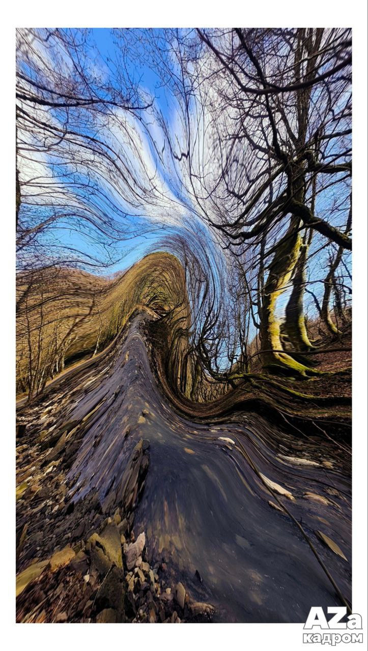 Дыхание весны. Фотоклуб AZакадром. Женский семейный фотограф Тула Москва Захарова Анна