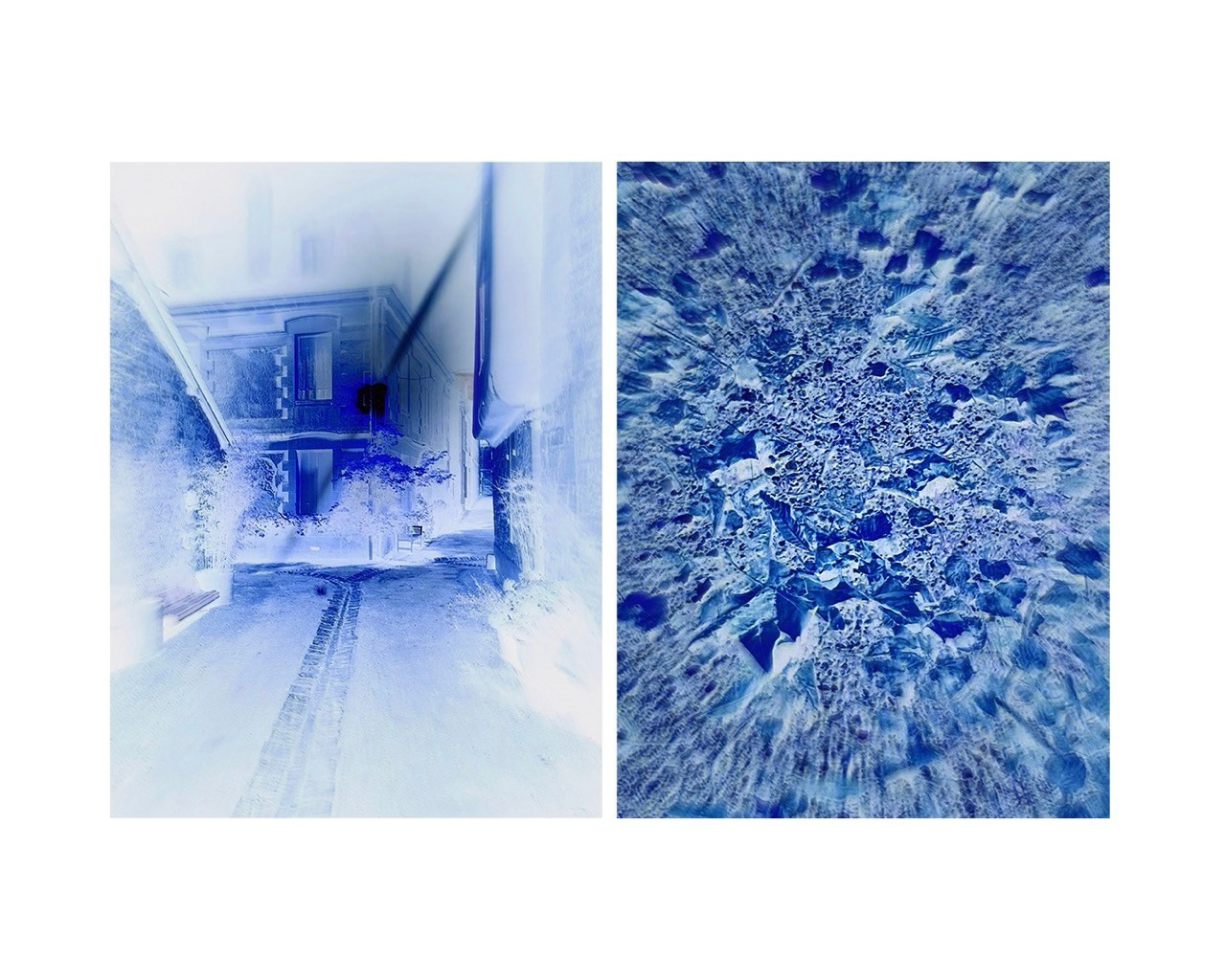 DIPTYCH STORY. VISUAL ARTIST