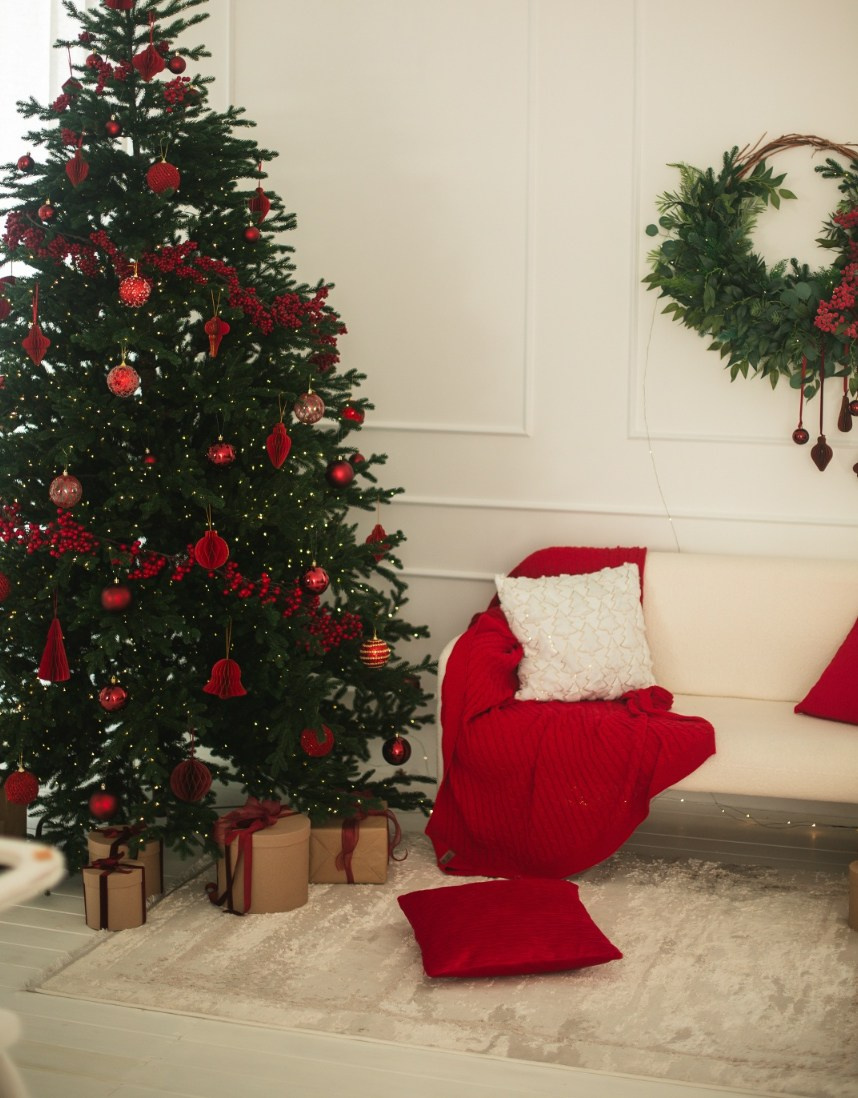 Новый год. Фотограф Сочи Адлер. Солькаева Анастасия