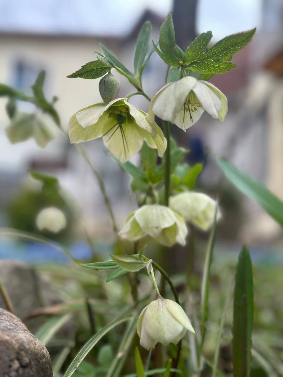 N 6 Загородный пленэр. Портретный и репортажный фотограф Наталья Горобец