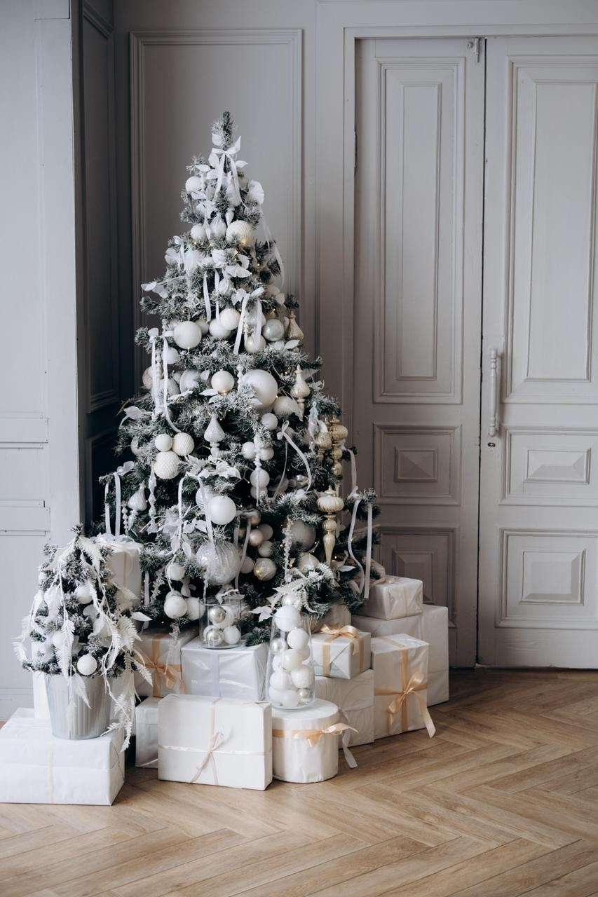 Новогодние студии Нск. Виктория Файфер| фотограф Новосибирск