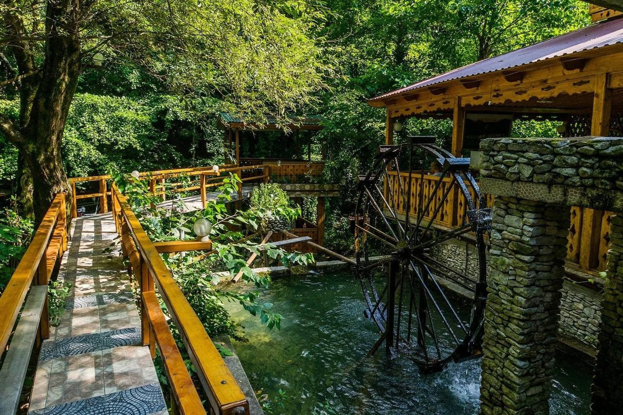 Абхазия. «Мандариновое настроение». Ольга Котова