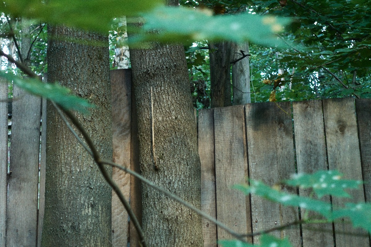 8-9/25. Иван Кобяков