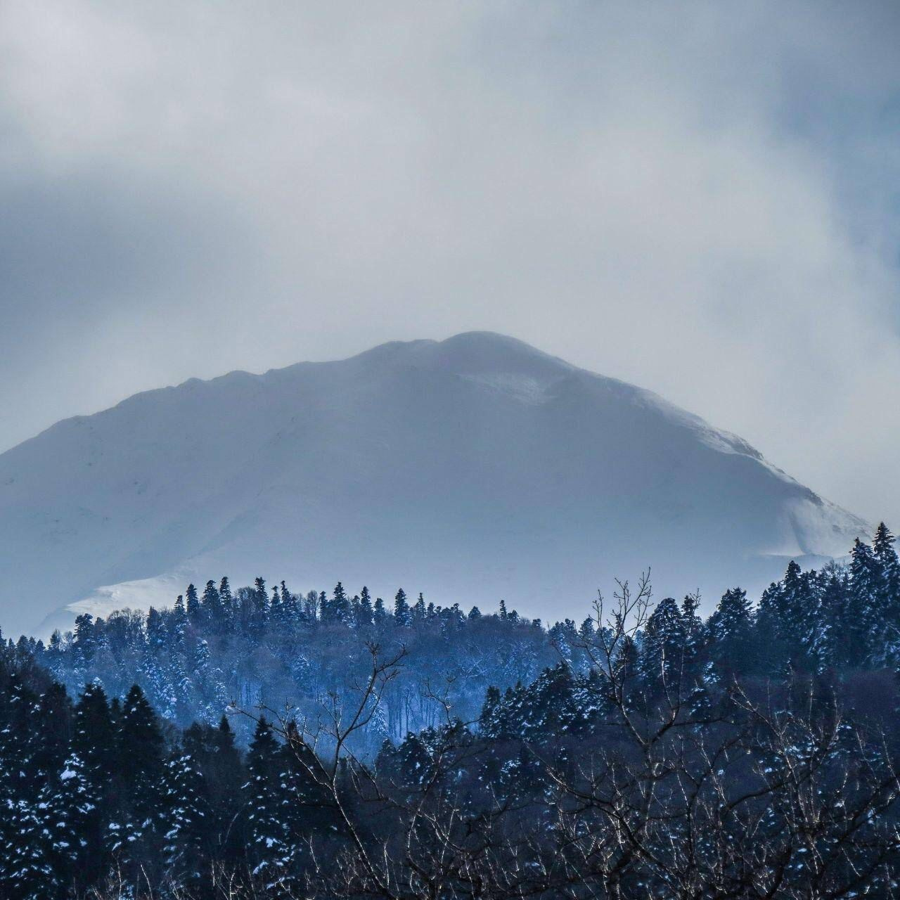 Эко Туризм Камышанова поляна. Инвестиционный консалтинг Недвижимость