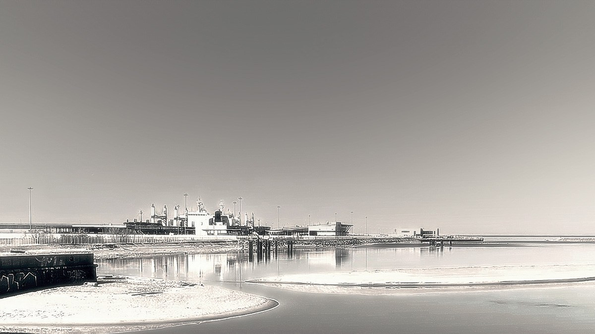 Для какого жанра лучше всего подходит чёрно-белая съёмка. НЕЙРО-АРТы Воеводова