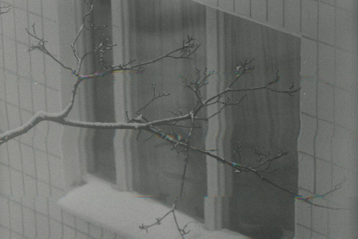 Несущественные детали. Иван Кобяков