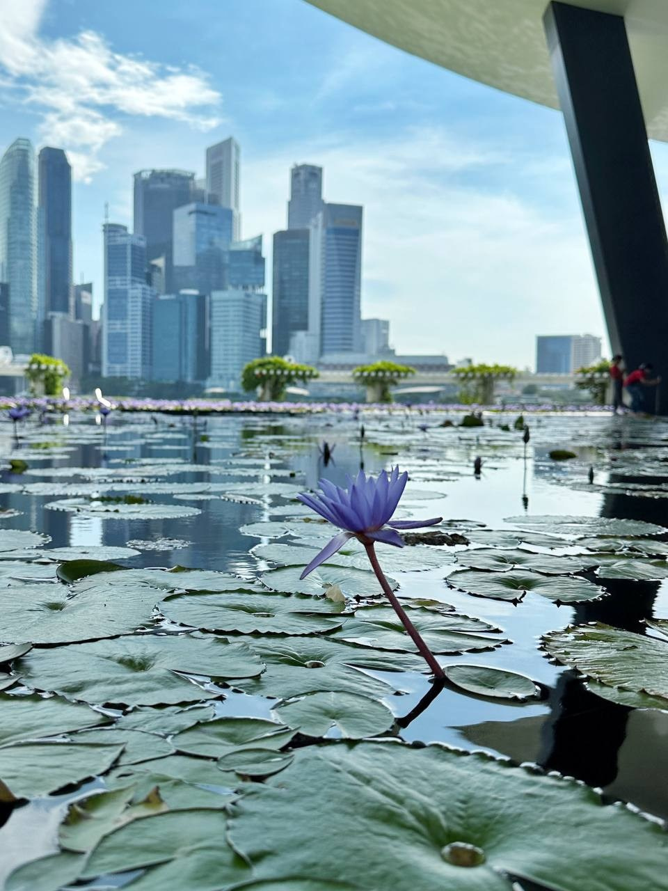 МАРАФОН ФОКУС НА ПРЕКРАСНОМ. Фотограф Анастасия Дмитриева