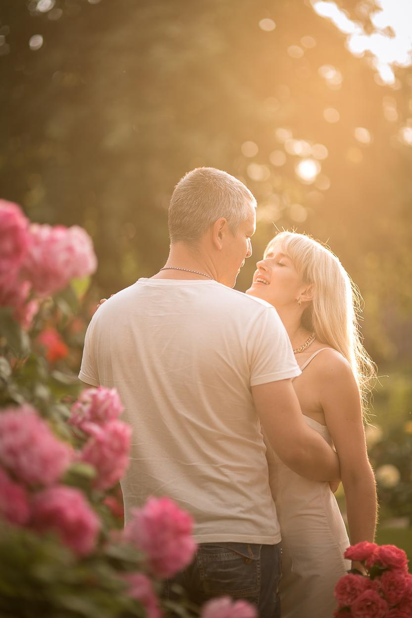 Закат в розах