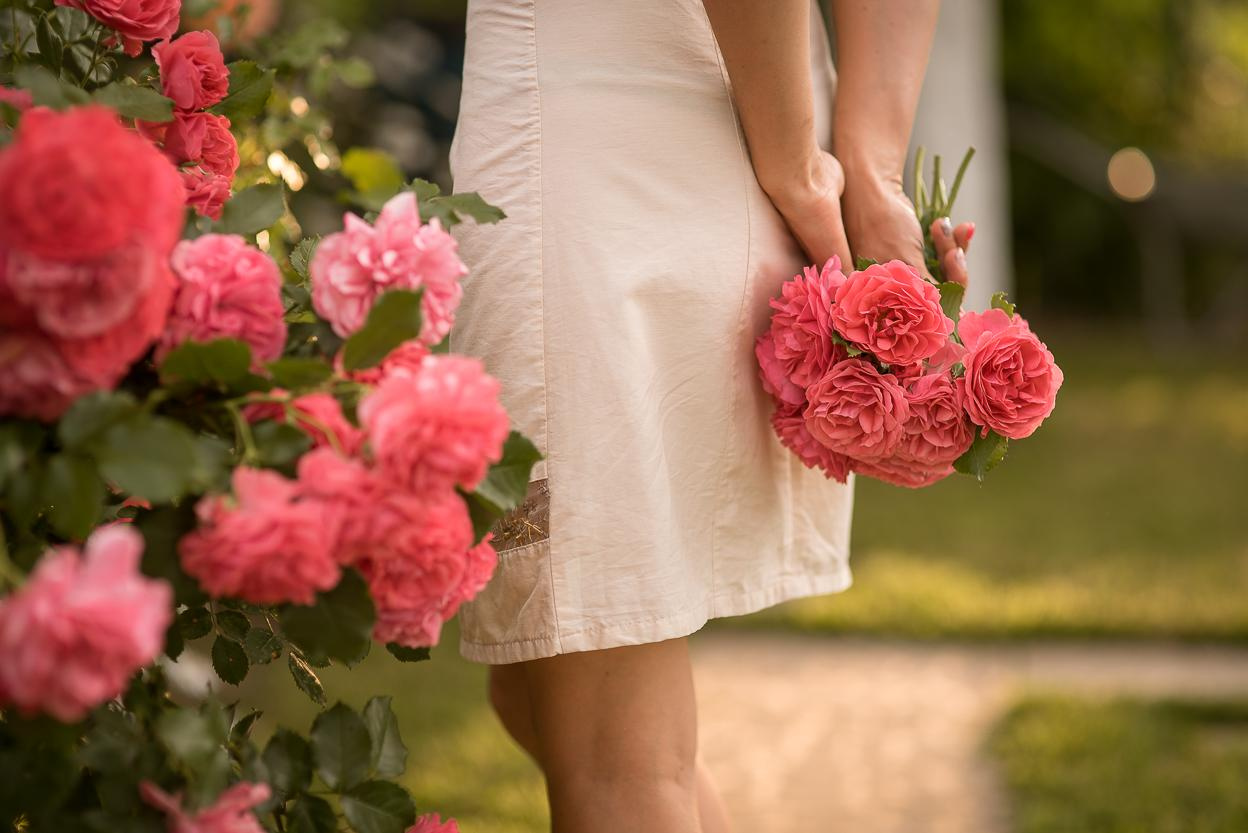 Где найти розовый сад в Нижнем Новгороде