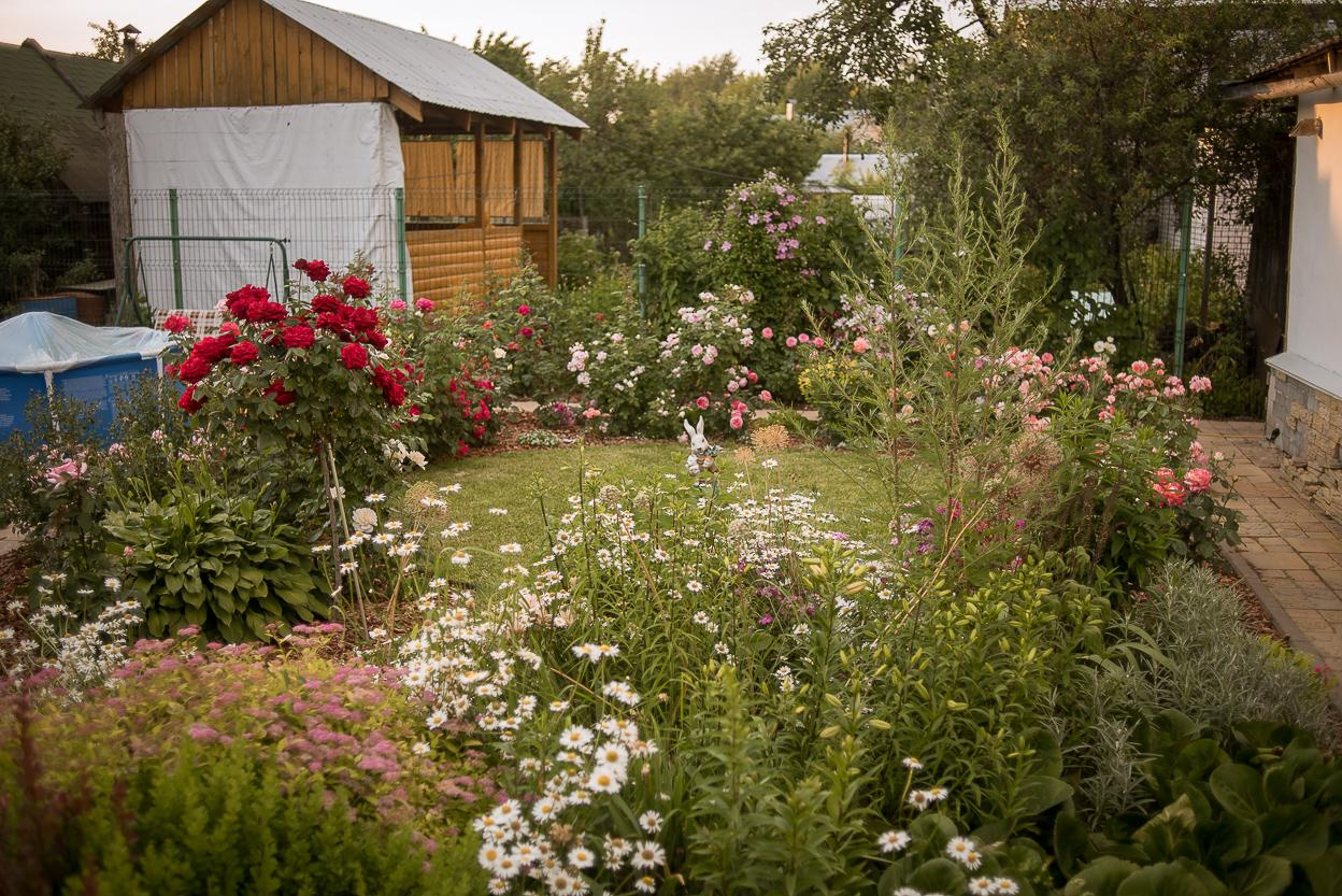 Фотосессия с розами. Семейный и детский фотограф в Нижнем Новгороде Валентина Леонтьева