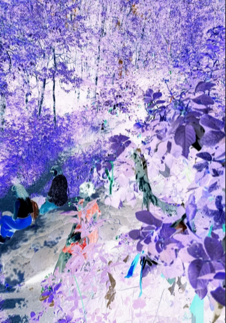 Елена Чернышова — Пираты воображения