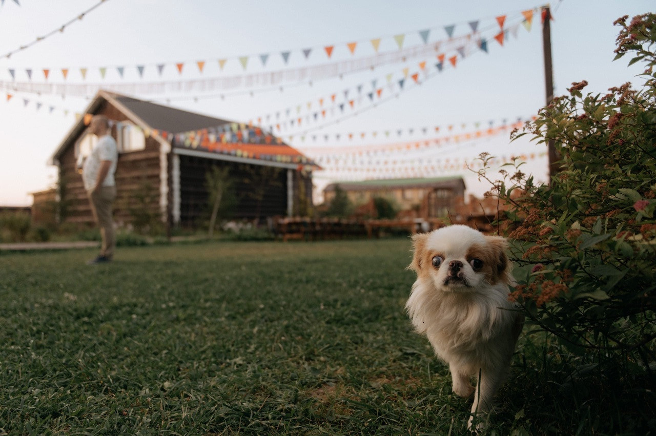 Свадьба на поляне. Свадебная площадка РАНЧО