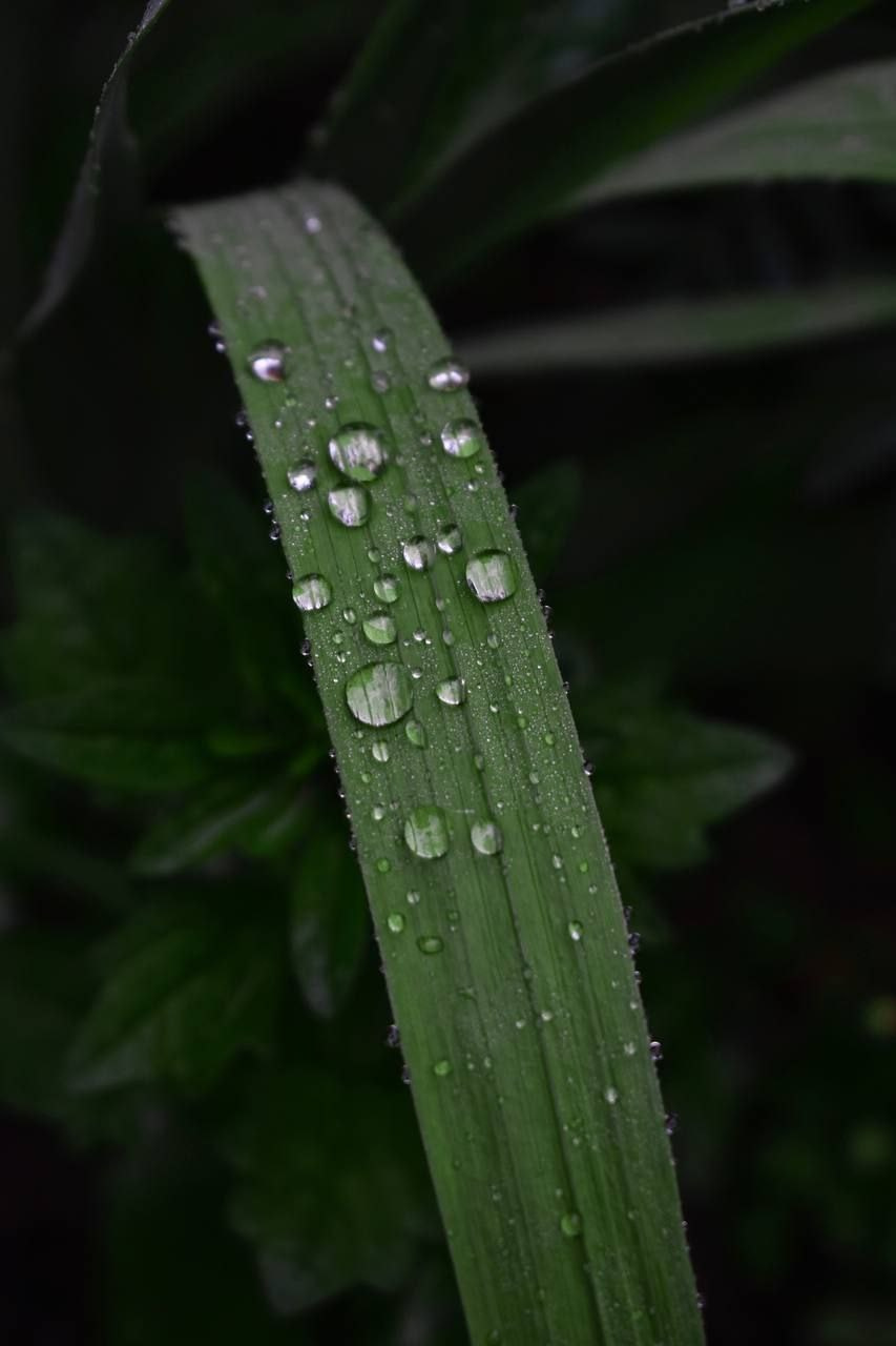 ОБУЧЕНИЕ. Фотограф НатаФото (Наталья Яковенко) Дмитров Москва Питер