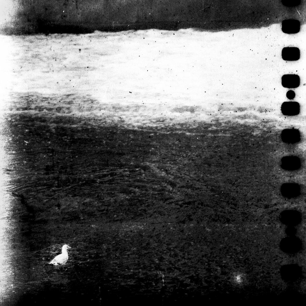 300 meters of bad film. Lisa Mukhina