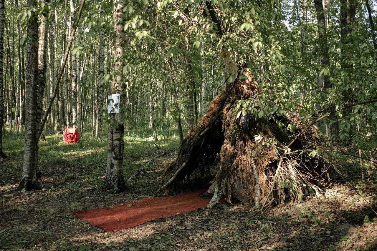 Tthrough the forest. Asya Bobritskaya is a multidisciplinary artist