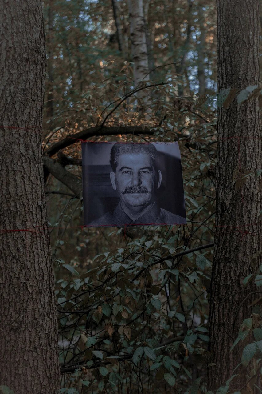 Tthrough the forest. Asya Bobritskaya is a multidisciplinary artist