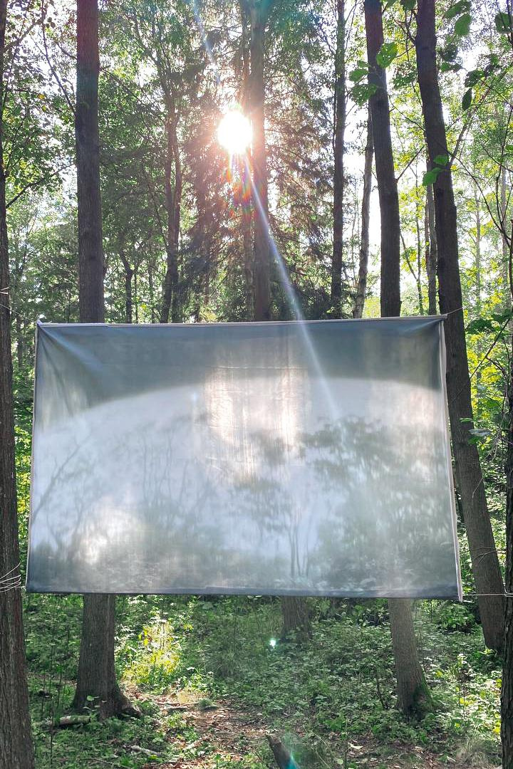 Tthrough the forest. Asya Bobritskaya is a multidisciplinary artist