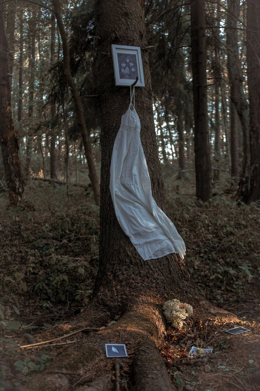Tthrough the forest. Asya Bobritskaya is a multidisciplinary artist