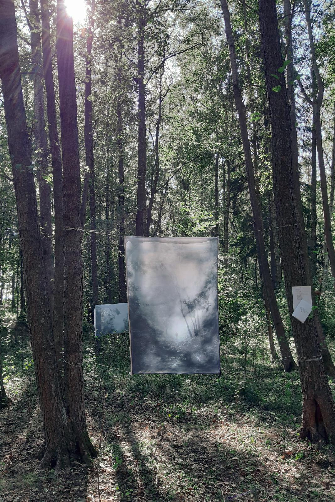Tthrough the forest. Asya Bobritskaya is a multidisciplinary artist