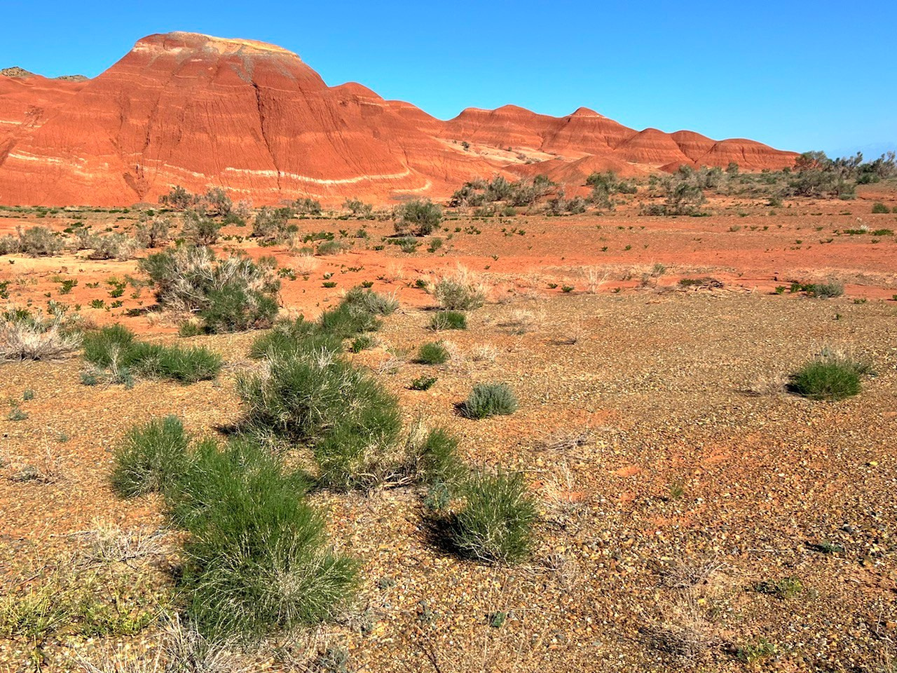 Национальный парк Алтын Эмель рядом с Алматы, Казахстан. Где находится, как доехать, фото и видео зимой и летом