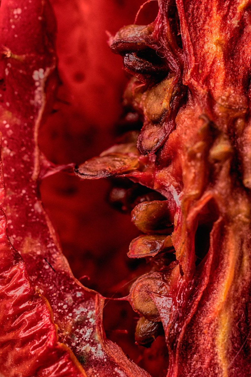 Абстрактный. Самид Али, фотограф из Санкт-Петербурга, Россия