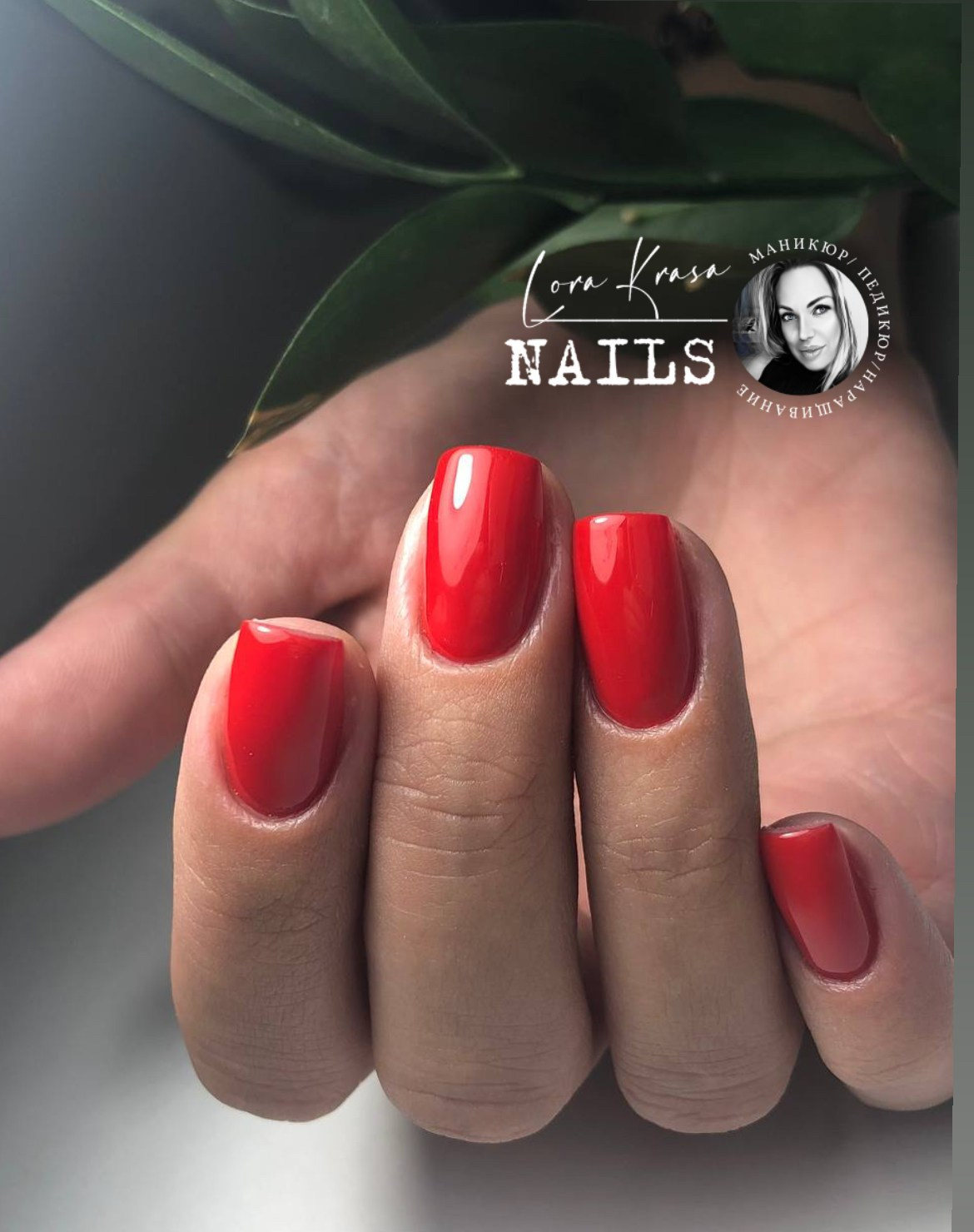 𝐋𝐎𝐑𝐀 𝐊𝐑𝐀𝐒𝐀 𝐍𝐀𝐈𝐋𝐒