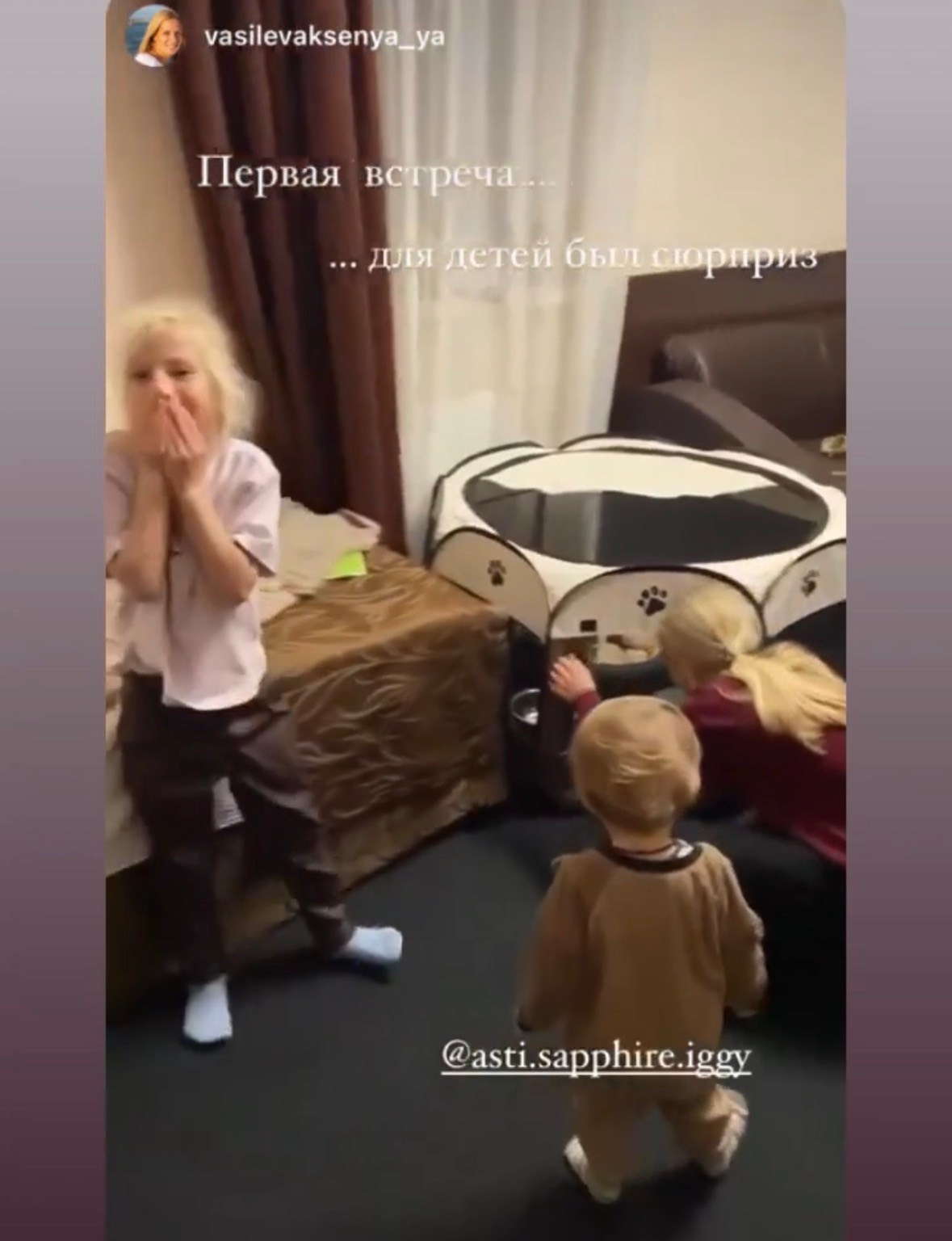 Левретка и ребенок: нежная дружба. Профессиональный питомник левреток РКФ/FCI ASTI SAPPHIRE 💎 Сочи|Санкт-Петербург