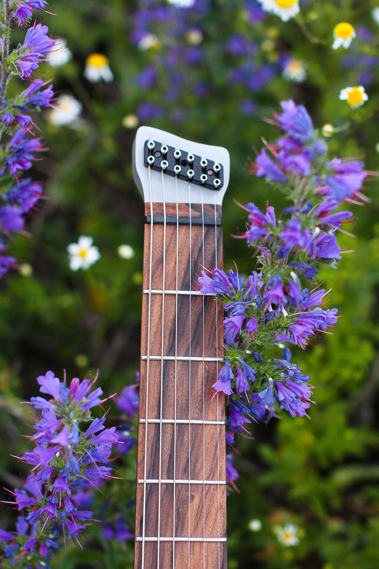 014 Decapitator. Master of making guitars and basses to order