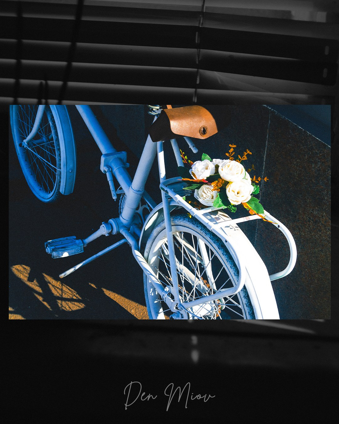 Лицензии на фото. Den Mirov — Фотограф, Музыкант