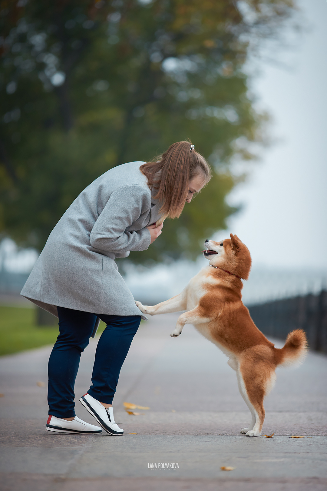 Фотопрогулка для заводчика. ФОТОГРАФ-АНИМАЛИСТ l LANA POLYAKOVA