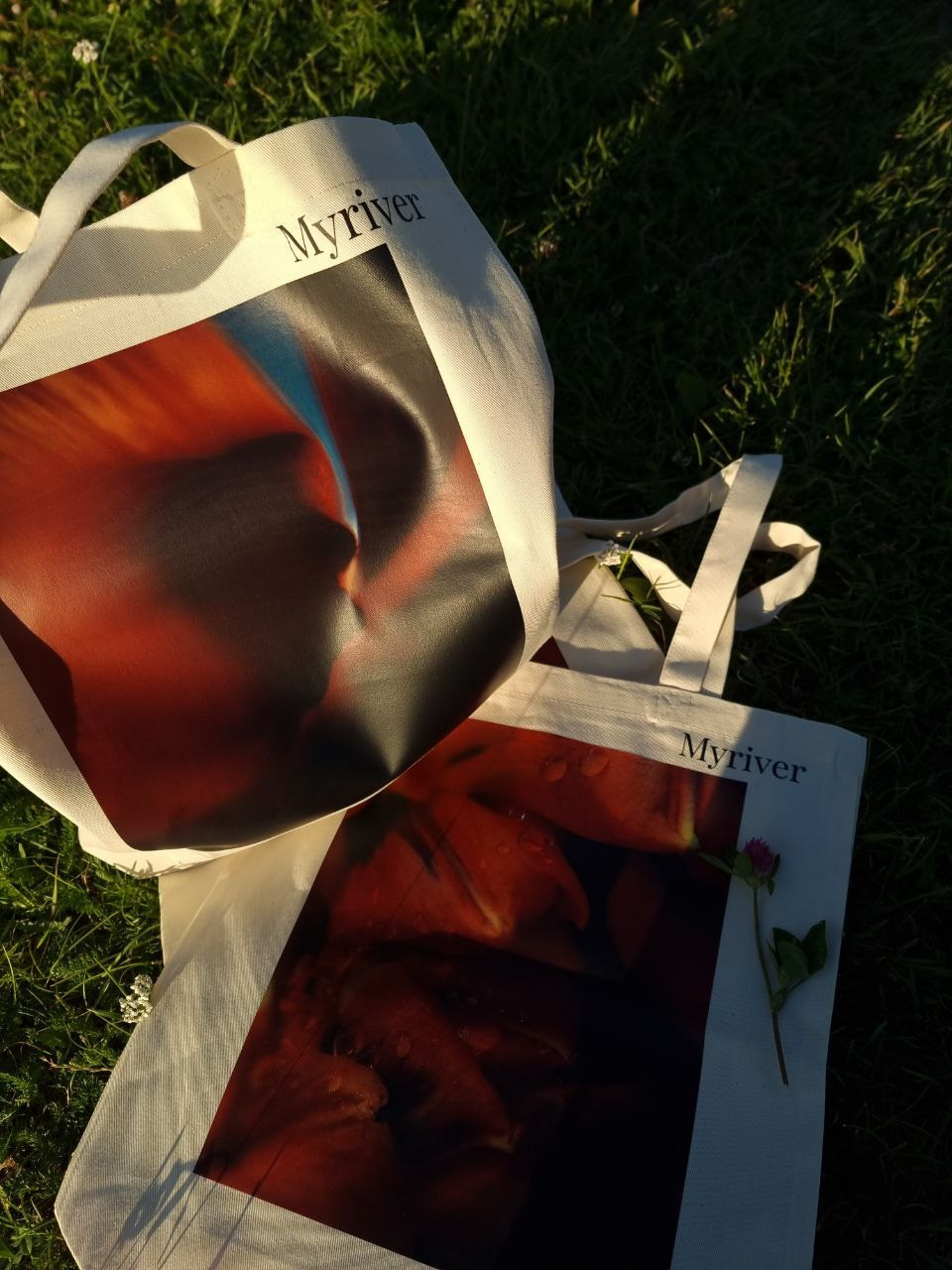 Шоперы. Фотограф из Санкт-Петербурга/Катерина Зайцева