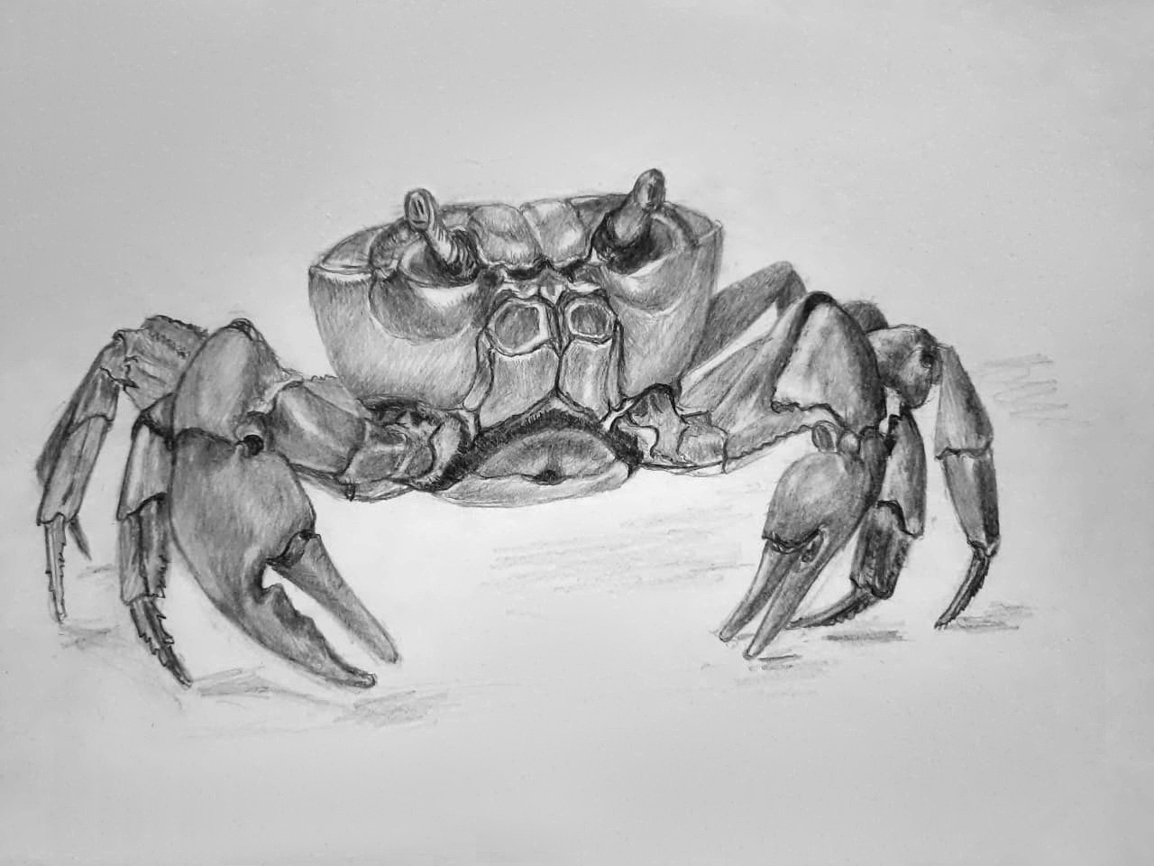 Любовь Шатунова | Портрет питомца по фото. Любовь Шатунова | Портреты по фото | Пейзажи на заказ | Натюрморты | Анимализм