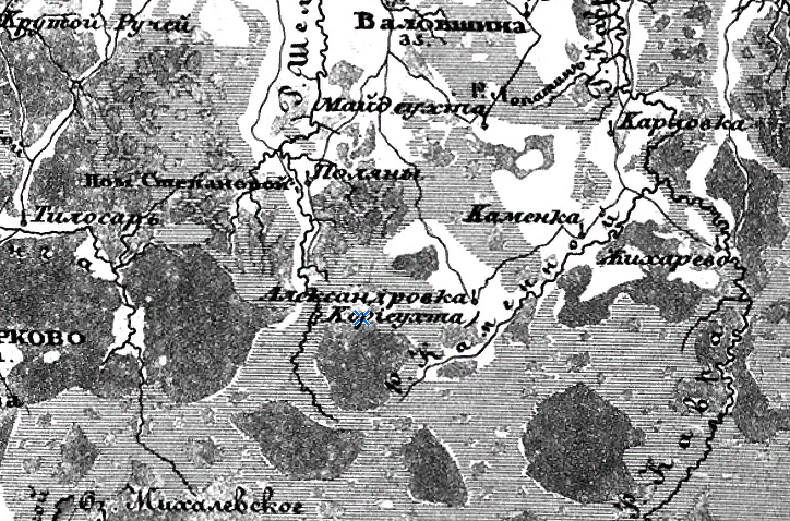 История. История Назиевского городского поселения