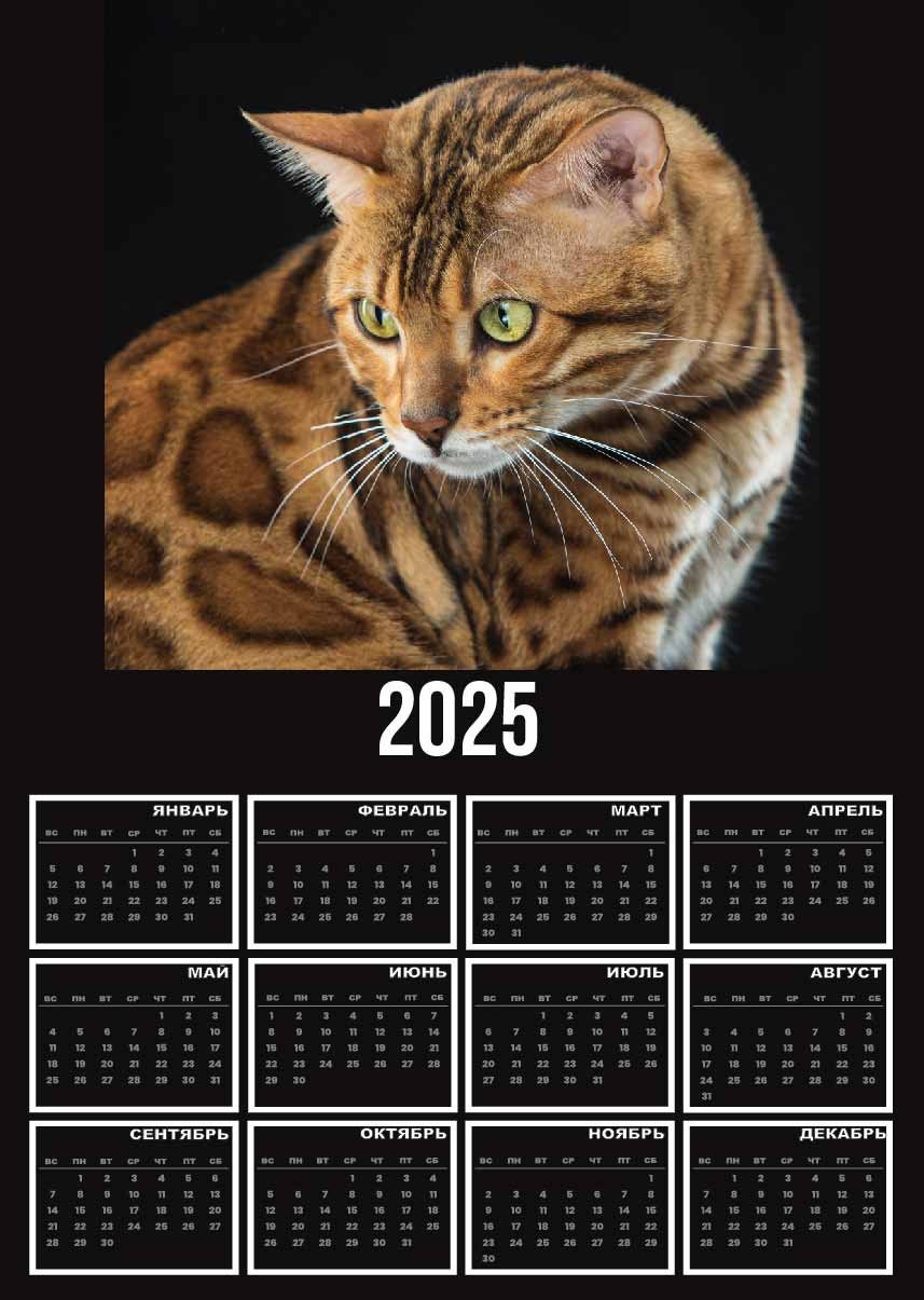 Графический дизайн. Beauty и Fashion фотограф в Сочи и в Москве Алена Фролова