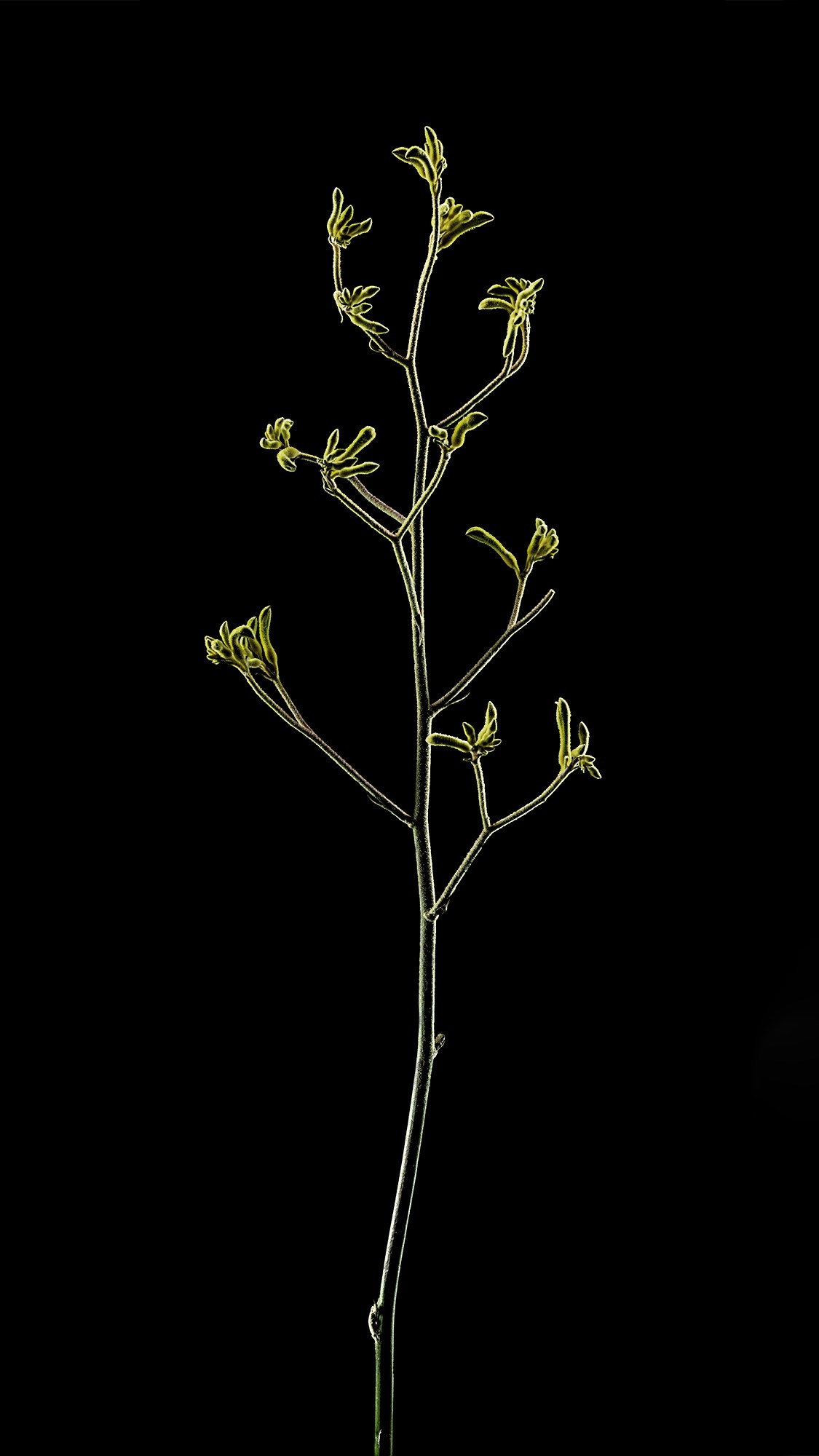 Проекты. Sakunov Photo