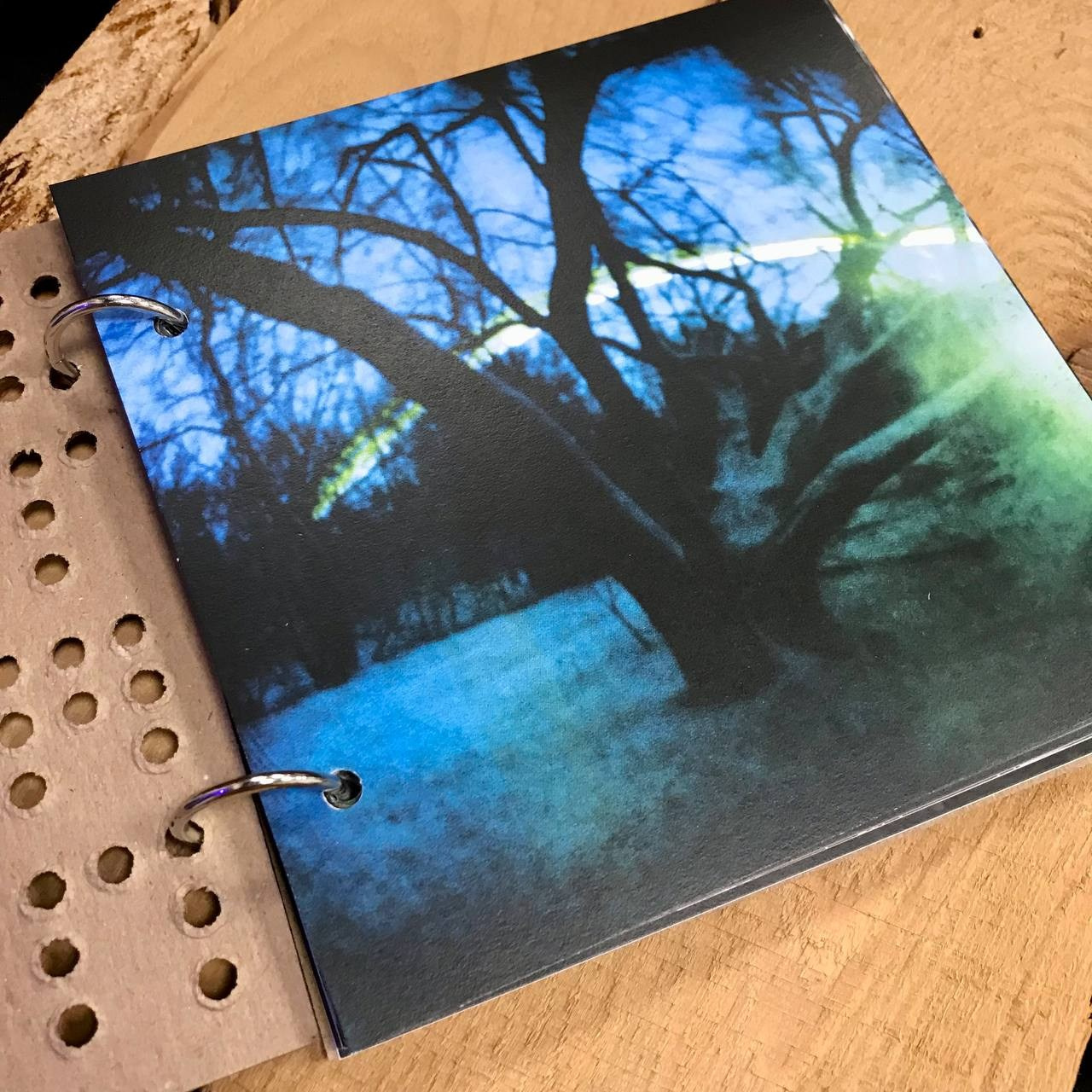 Презентация фотокниги «Beetlemania», 21.10.2023, г. Ростов-на-Дону, независимый книжный «В порядке». Лера Круглова