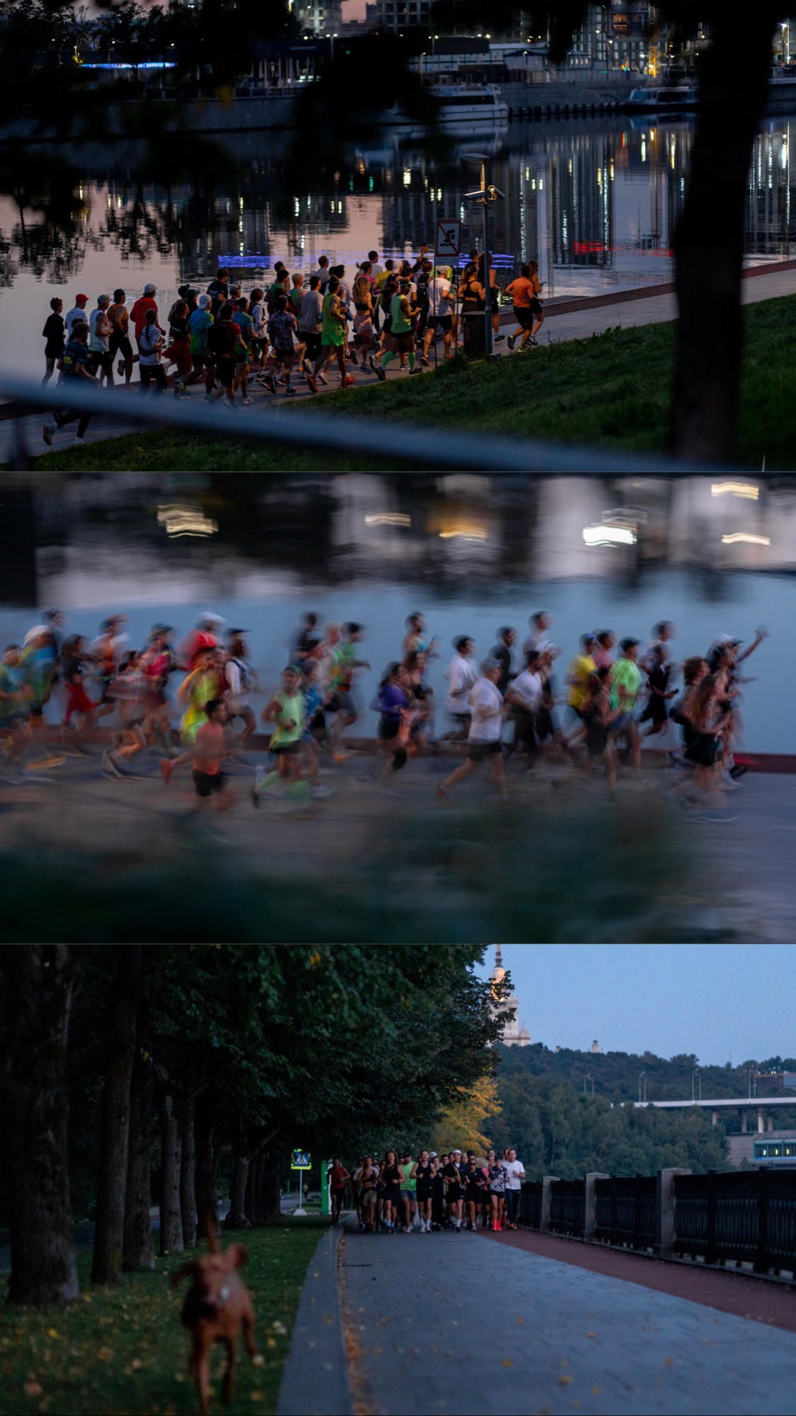 Run for sun. Павел Шарапов | Фотограф | Москва