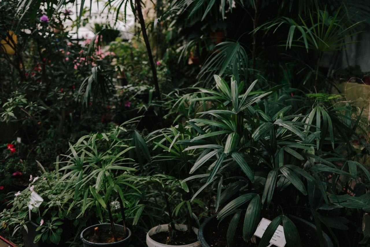 Весенние фотосессии в Нижнем Новгороде. Фотограф и видеограф Елена Лисина