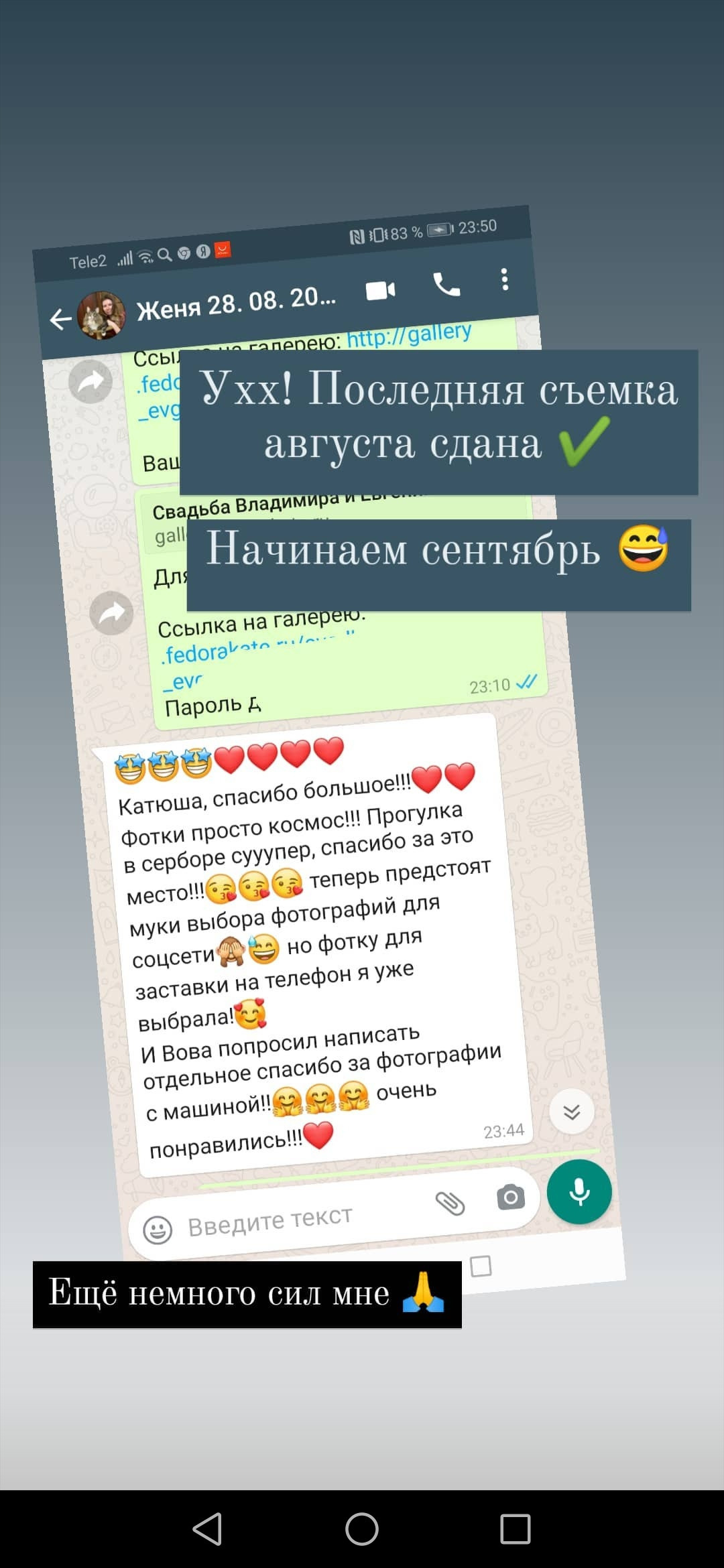 Wedding. Профессиональная фотосессия в Москве и Московской области