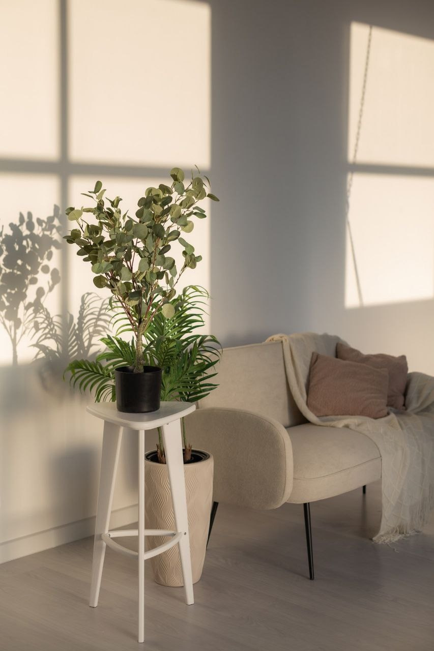 Фотостудия «Птичка» Мытищи,