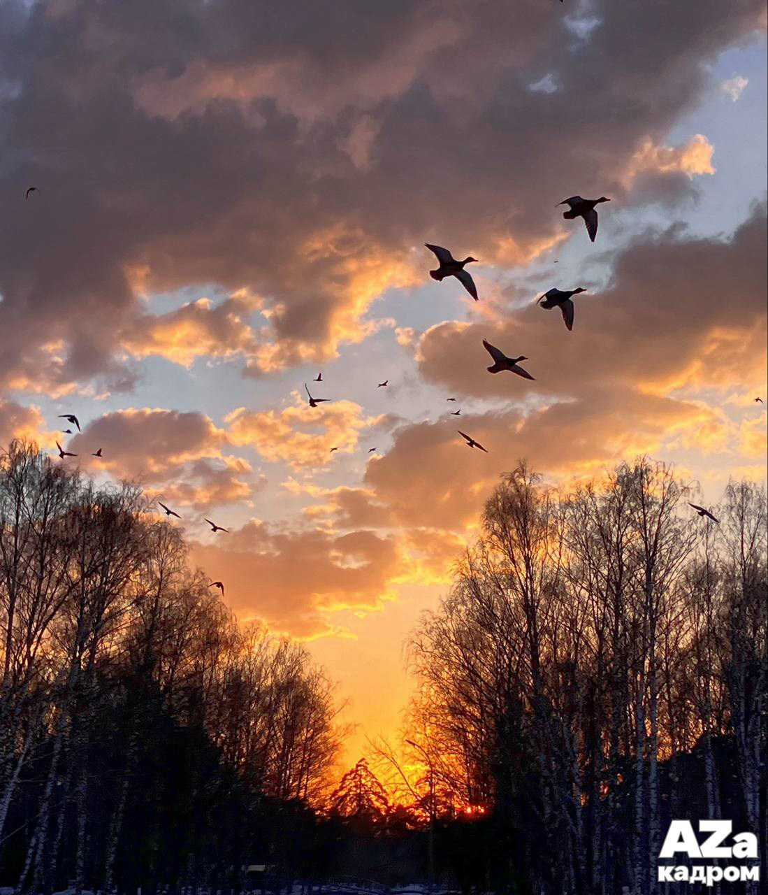 AZакадром Нижняя точка съемки. Женский семейный фотограф Тула Москва Захарова Анна