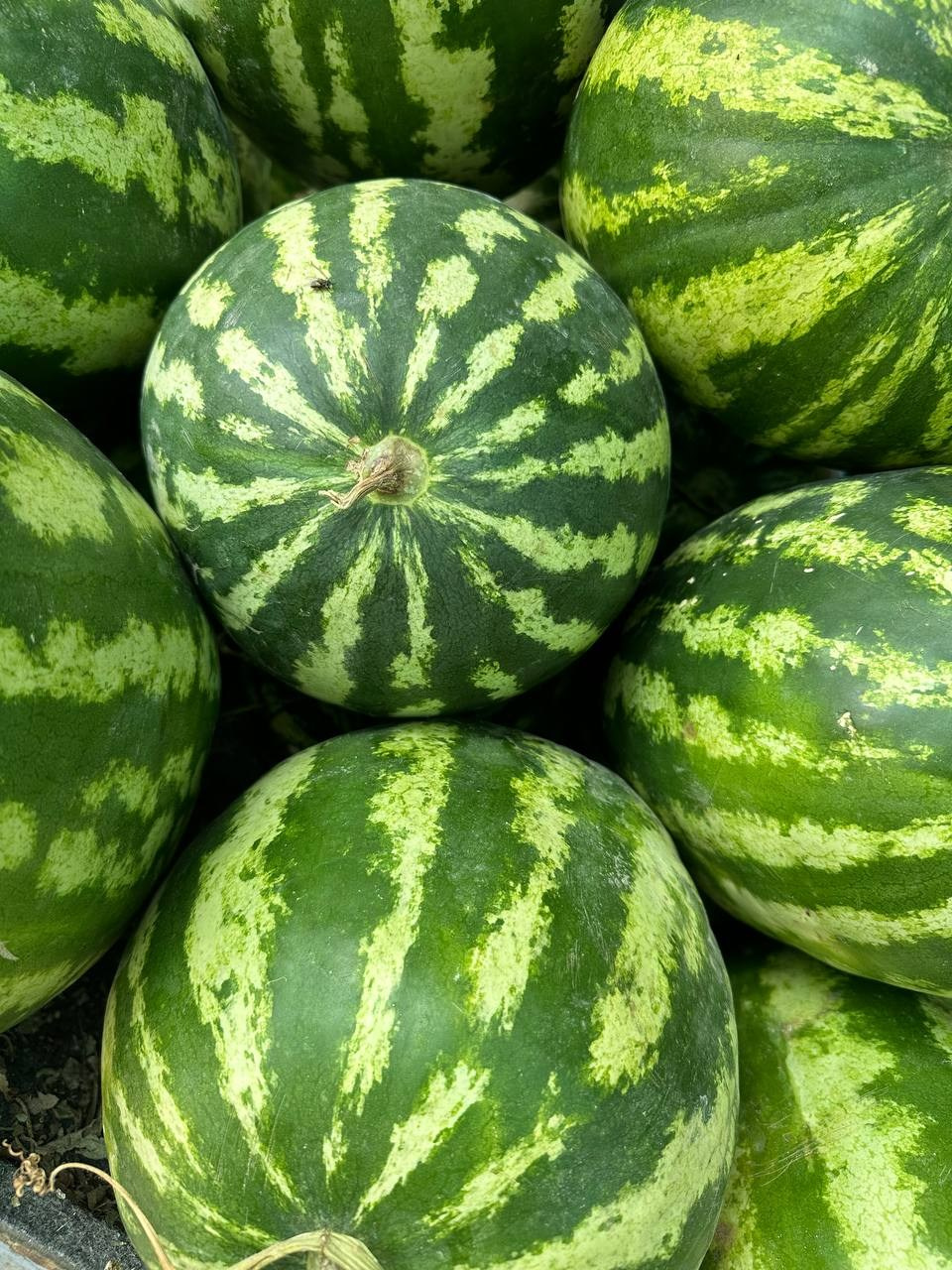 Путешествия говорят. Портретный женский фотограф в Москве Наталия Глазова