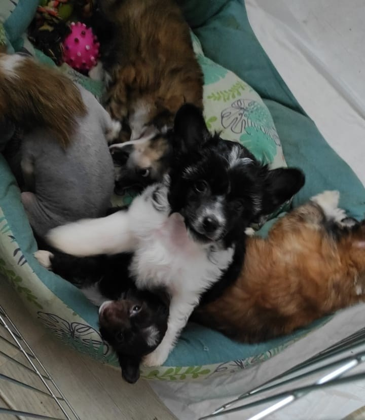 July 19, 2021 Poale Ell Chester became a dad!