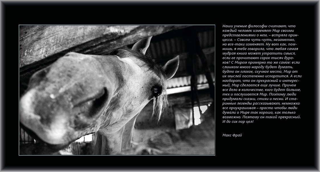 Совет дня — ориентир. Татьяна Корчагина. Фотограф, художник. Обучение фотографии