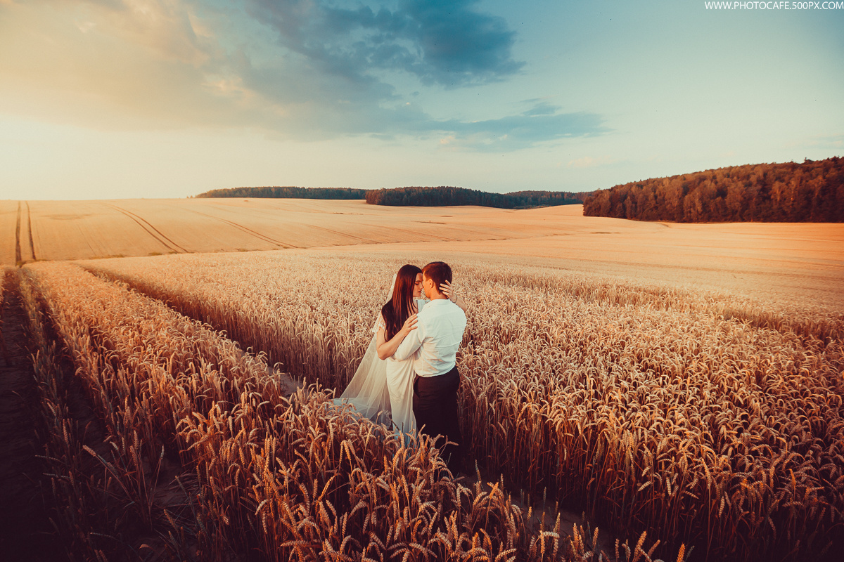 A & L. Wedding in a Fields of Gold. Destination wedding photographer in Iceland, Spain, Italy, Greece and