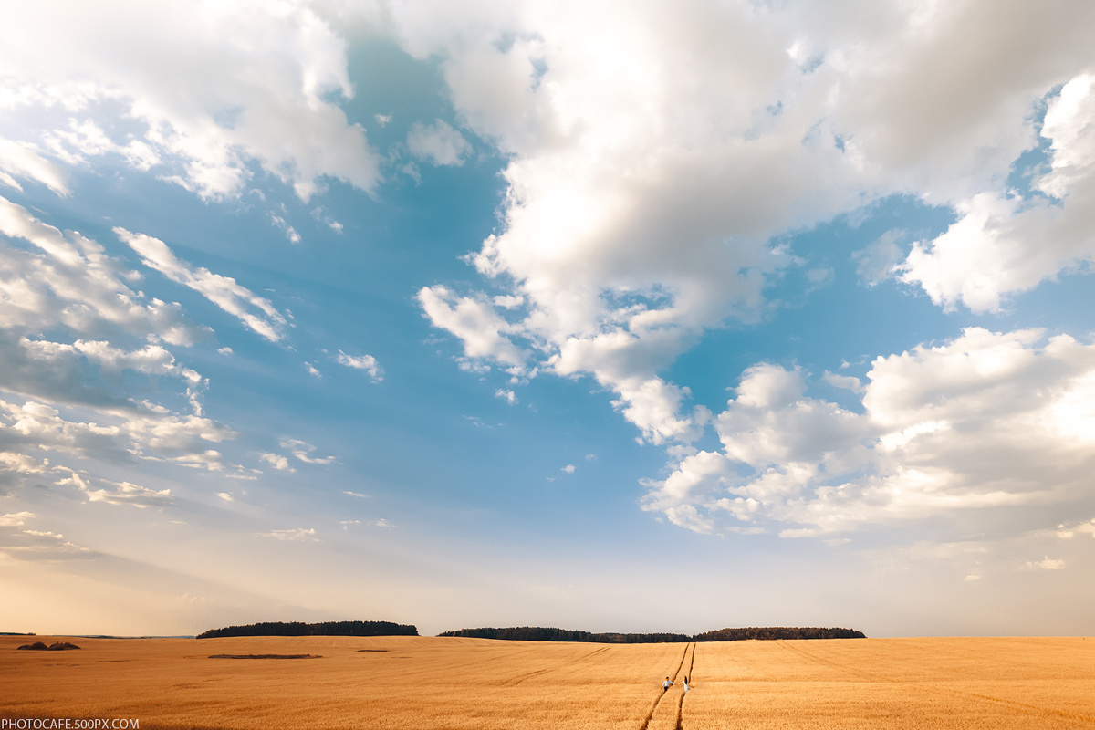 A & L. Wedding in a Fields of Gold. Destination wedding photographer in Iceland, Spain, Italy, Greece and