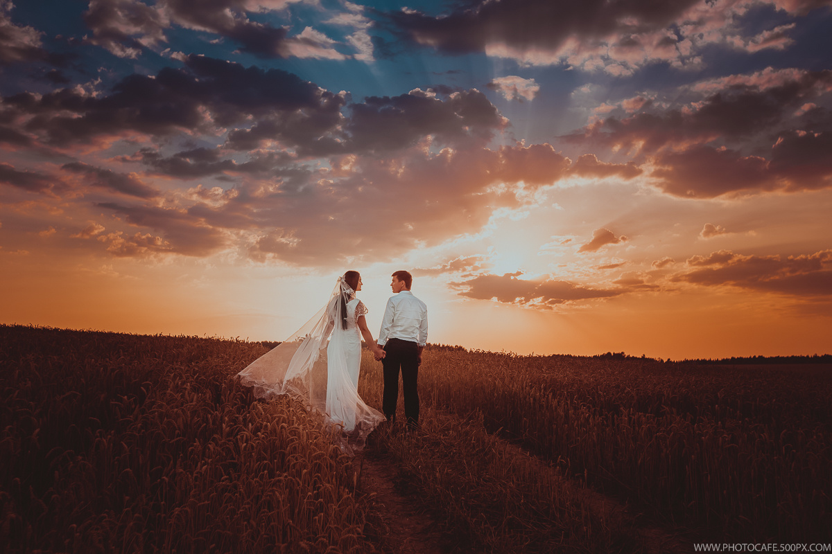 A & L. Wedding in a Fields of Gold. Destination wedding photographer in Iceland, Spain, Italy, Greece and
