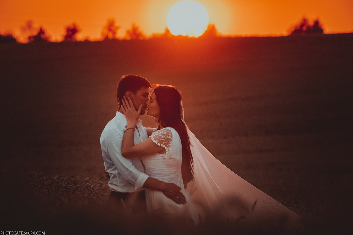 A & L. Wedding in a Fields of Gold. Destination wedding photographer in Iceland, Spain, Italy, Greece and